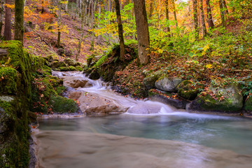 Herbst Idylle im Wald mit Fluss