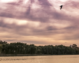 cloudy afternoon over the lake