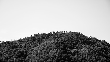 Bergspitze in schwarz und weiss