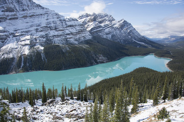 Lac peyto