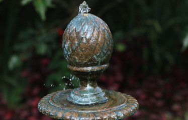 Fountain garden