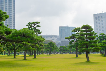 View of Tokyo financial district cityscape with park, Japan.