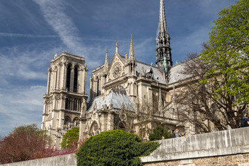 Fototapeta na wymiar Notre Dame Cathedral in Paris on a bright afternoon in Spring