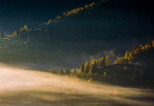 rolling hills in autumn morning fog. beautiful rural scenery