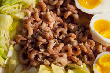 healthy shrimp salad with tomato and eggs