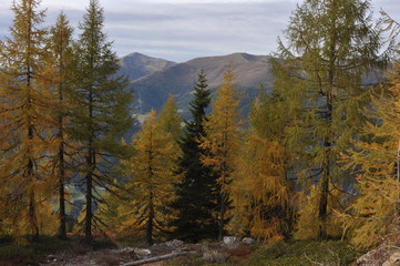 Herbst in den Bergen