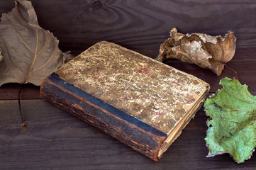 old book and leaves