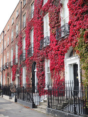 GEORGIAN TOWNHOUSES - DUBLIN, IRELAND