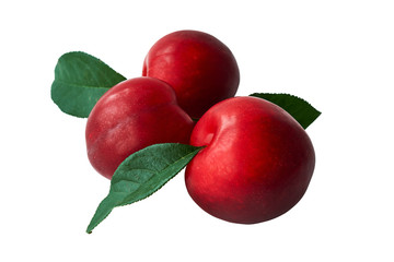 Red plum with green leaves isolated on white