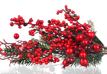 Christmas branch with red fruits