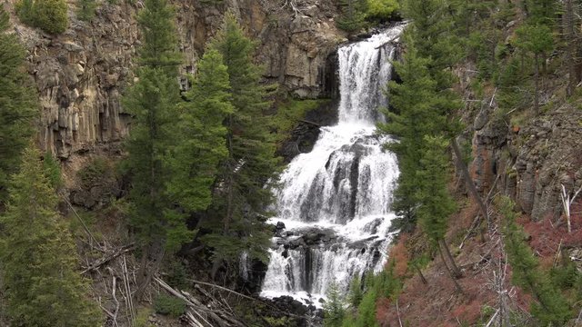 Undine Falls flowing through forest in Yellowstone