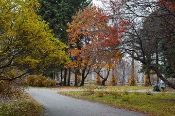 Autumn Park