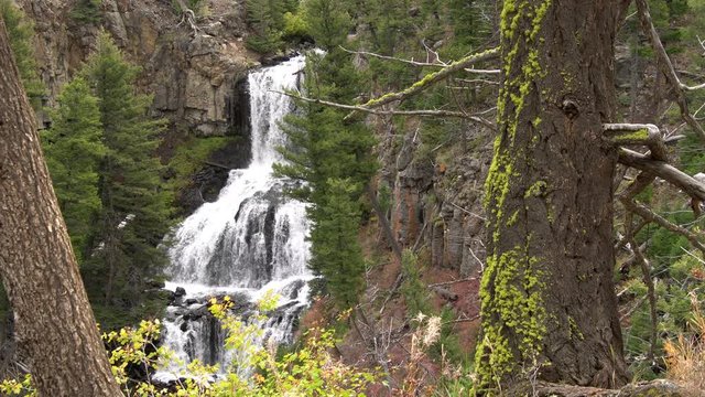 View of waterfall through green forest in Yellowstone.