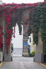 A mews archway in London with leaves reddening in the fall. Mews typically comprise housing...