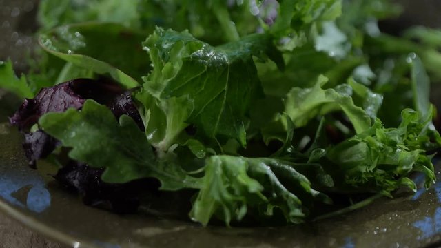 4K Salad Detail footage
