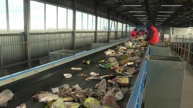 Workers sort garbage. Processing plant debris.