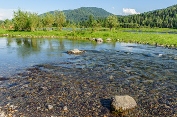 Дикая природа Алтайского Края