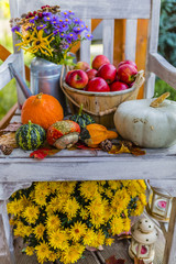 Obraz na płótnie Canvas Pumpkins and autumn decorations on the wooden terrace. 