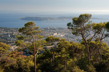 Fototapeta na wymiar Pine forest on a hill overlooking a french city on the mediterranean sea