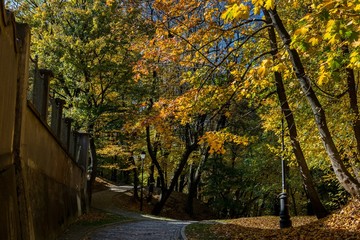 Przemyśl,park. jesień