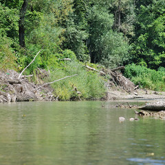 Landscape with small river