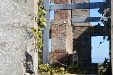 Mother Nature's Revenge