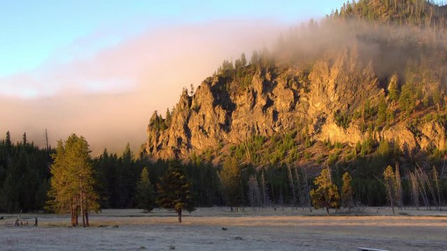 Fog rolling past hillside lit up in the morning in Yellowstone.