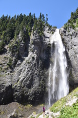 Comet Falls Dreams