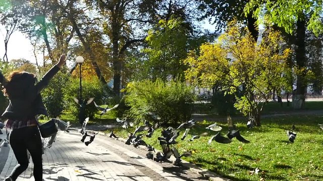 Girl Scare and dispersed a  Flock Of Pigeons And They Fly In Different Directions