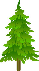 illustration of green Christmas tree on white background