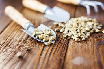 Gold mining concept - golden sand with instruments for mining.