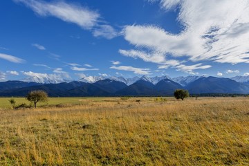 Early autumn snow in Carpathian Mountains: huge cliffs are covered with snow, in the foreground are slopes with forest. View of Fagaras Mountains near Moldoveanu, the highest mountain peak in Romania.