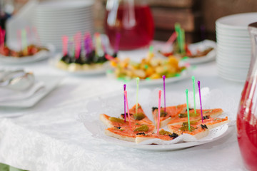 Catering food - sanwiches with salmon and meat