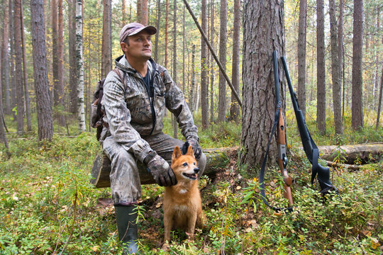 hunter with dogs finnish spitz during the rest