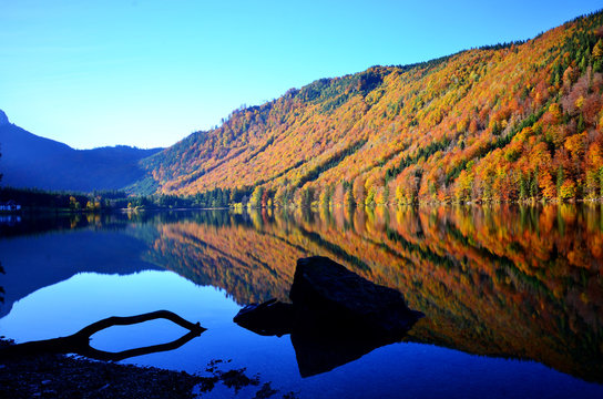 Herbstliche Wasserspiegelung am Langbathsee
