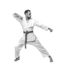 Young man practising karate on white background