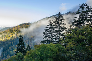 Morning Fog In The Smokies