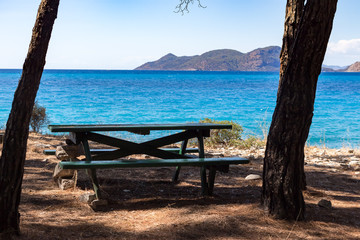 bench and table in the shadow of a tree on the beach with sea view