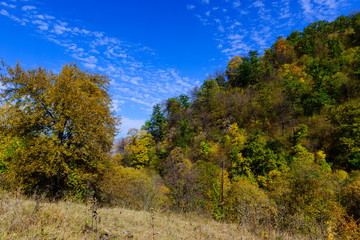 Mountain forest in autumn colors