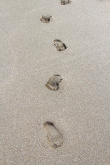 Footprints path in wet sand of beach