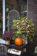 the Decoration of the entrance to the house for Halloween. Pumpkins with burgundy heather and chrysanthemums.