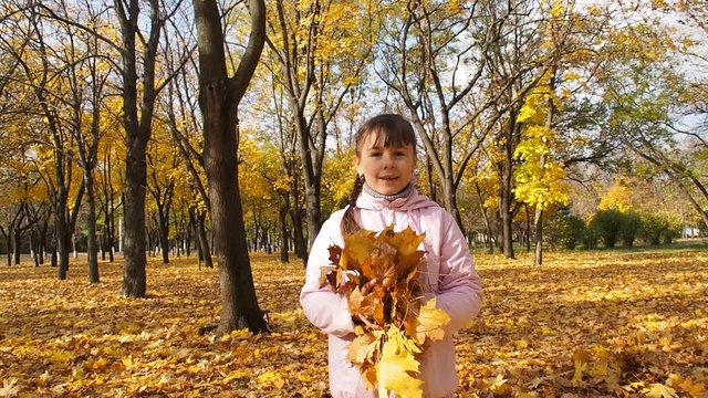 A child is playing with autumn leaves. Happy little girl in autumn park.