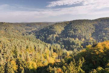 Autumnal forests in  in Kokorinsko landscape area in Czech republic at morning
