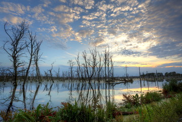 Naturschutzgebiet am Galenbecker See HDR