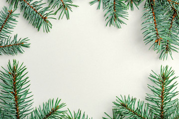 New Year frame made from fir branches on a white background. 