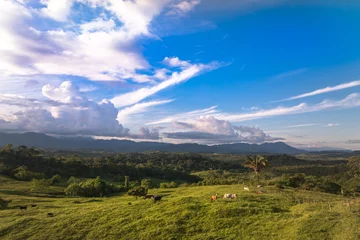 Foto op Canvas  Colombian countryside in summer. © EGT