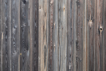 Close-up of a wooden pine tinted background texture under daylight