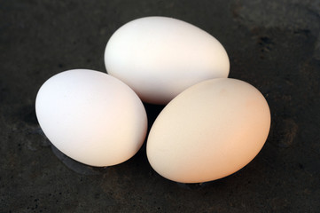 Eggs in the hands of farmers from white chickens of local breeds grown on an ecological farm using forage wheat, barley growing in an ecologically clean area
