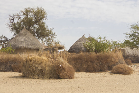 A village in  Thar desert , Sindh, Pakistan