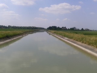 Canale Emiliano